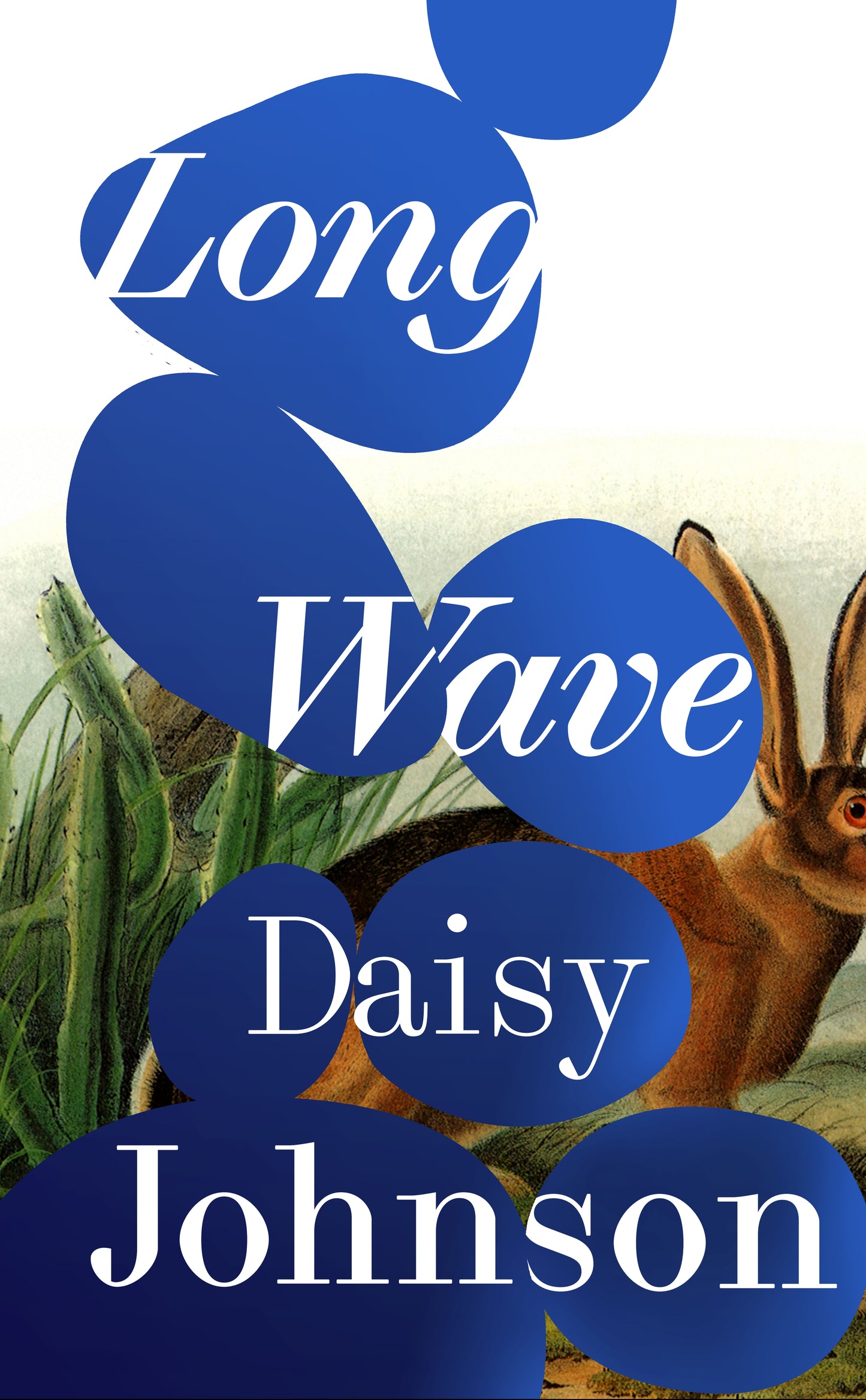 Emma recommends... Long Wave - Daisy Johnson