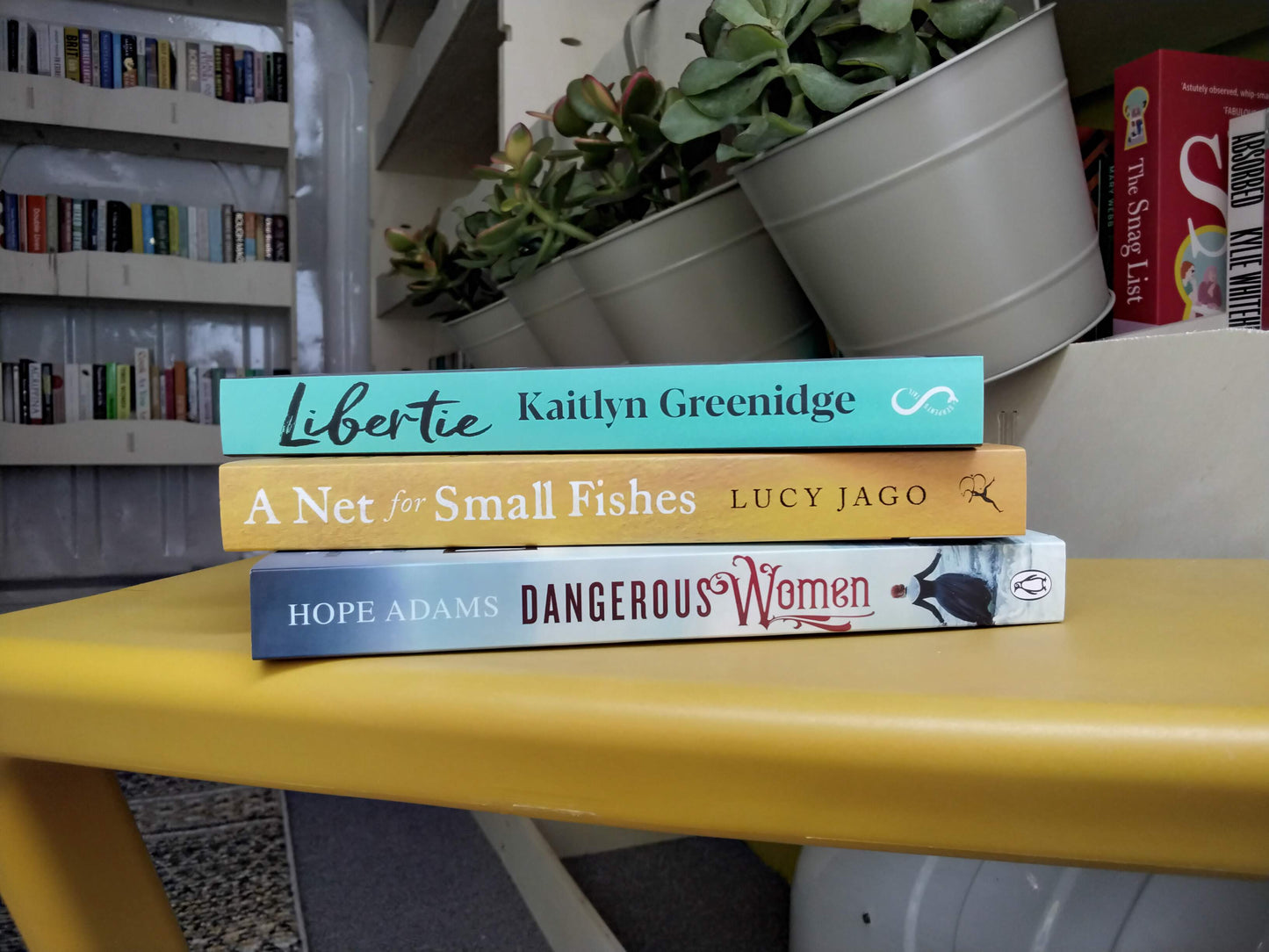 Historical fiction bundle