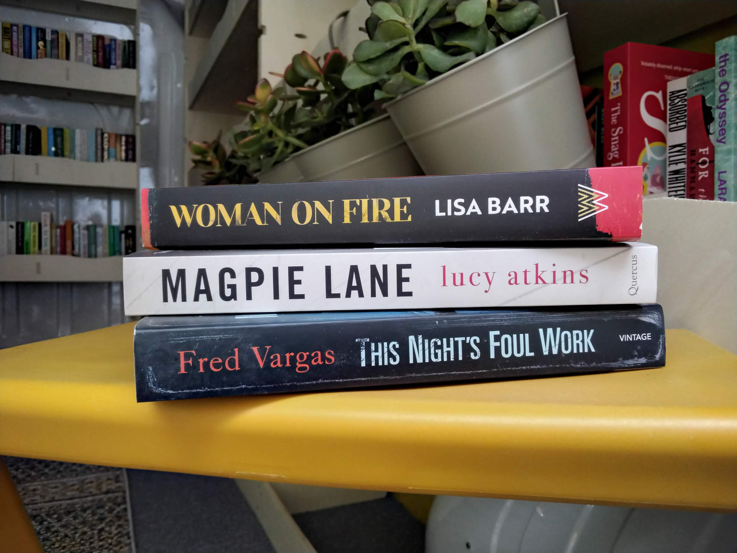 Crime and thriller bundle