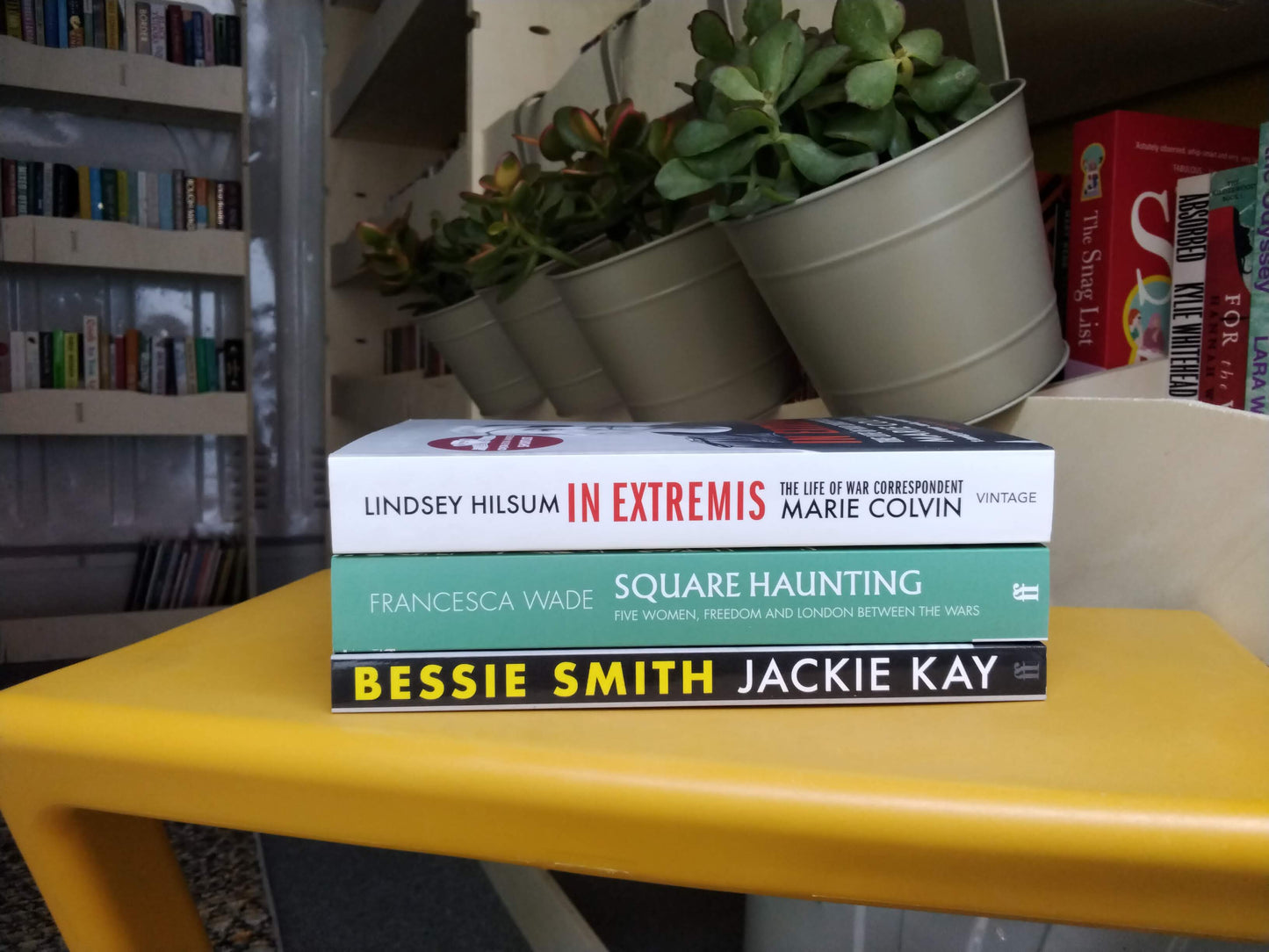 Biographical writing bundle