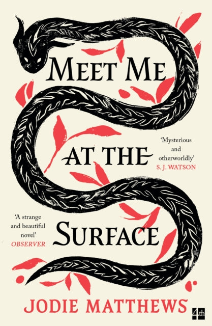 Caly recommends... Meet Me at the Surface - Jodie Matthews