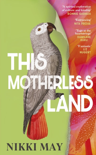 Recommended read... This Motherless Land - Nikki May