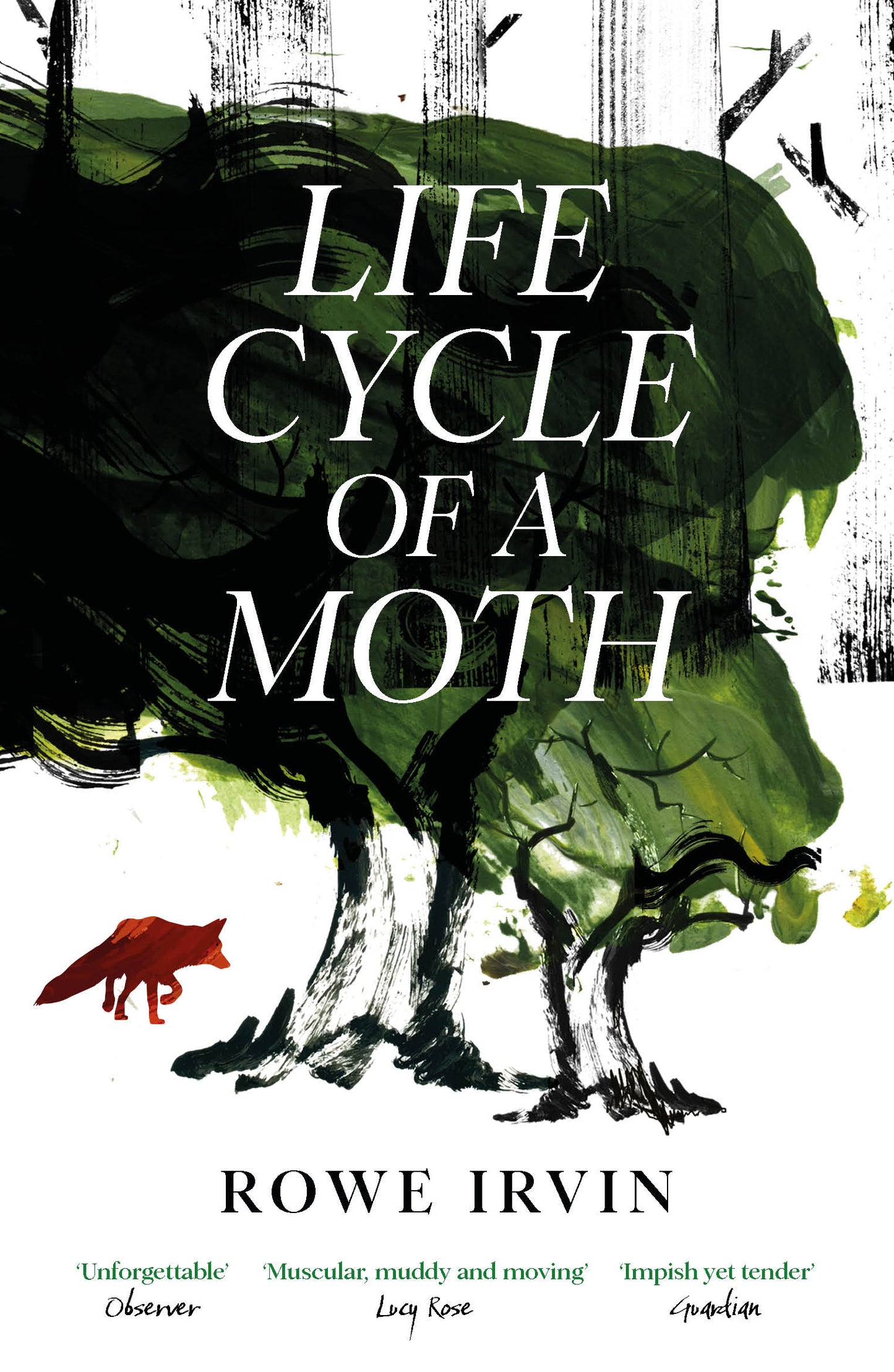 Caly recommends... Life Cycle of a Moth - Rowe Irvin