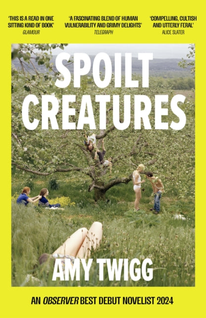 Collected's 24in24 - Caly recommends... Spoilt Creatures - Amy Twigg