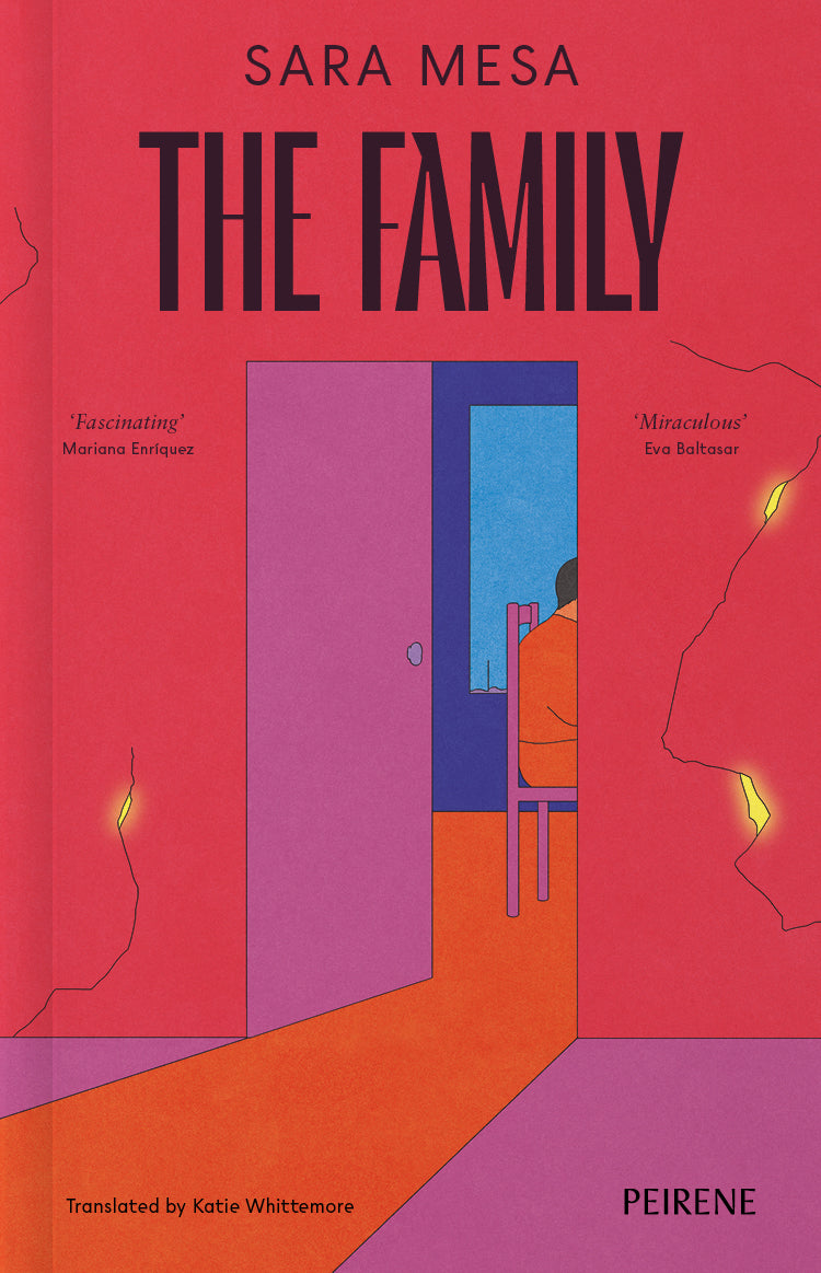 OCTOBER BOOK CLUB READ | The Family - Sara Mesa